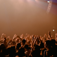 Concerts
