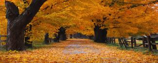 test-vol-linfini-image